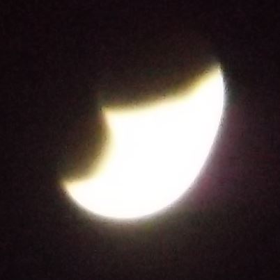 What the freak is that?