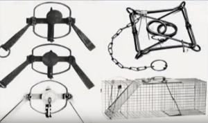 knowing-your-history