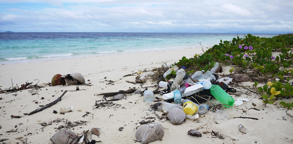 plastic in ocean cover up